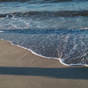 Meet your Posher, Natasha